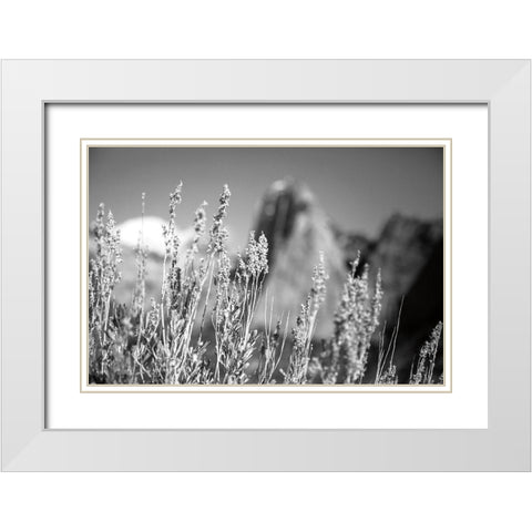 Canyon Sagebrush White Modern Wood Framed Art Print with Double Matting by Marshall, Laura