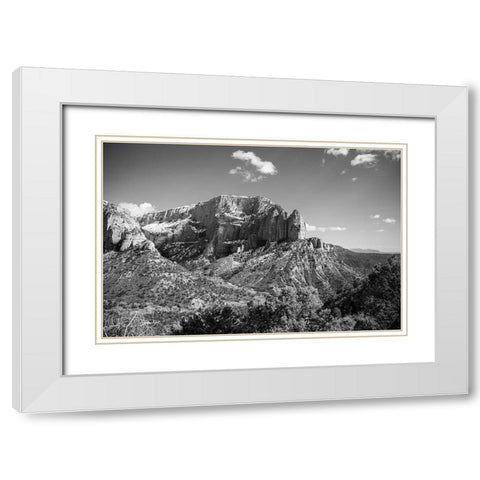 Timber Top White Modern Wood Framed Art Print with Double Matting by Marshall, Laura