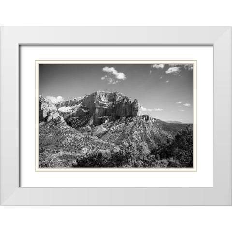 Timber Top White Modern Wood Framed Art Print with Double Matting by Marshall, Laura