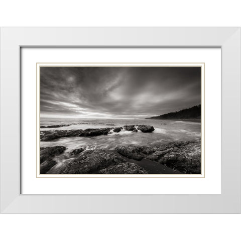 Kalaloch Beach White Modern Wood Framed Art Print with Double Matting by Majchrowicz, Alan