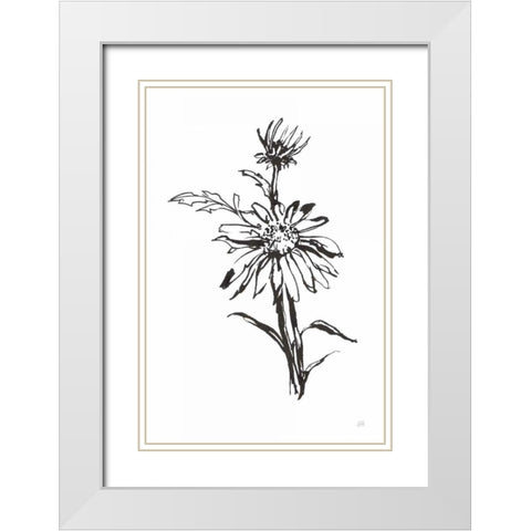 Line Echinacea I White Modern Wood Framed Art Print with Double Matting by Paschke, Chris