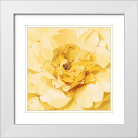 Yellow Peony White Modern Wood Framed Art Print with Double Matting by Nai, Danhui