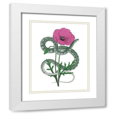 Natural Beauty I Pink Flower White Modern Wood Framed Art Print with Double Matting by Wild Apple Portfolio