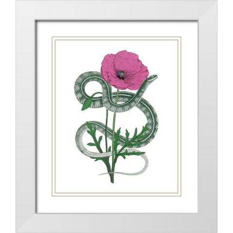 Natural Beauty I Pink Flower White Modern Wood Framed Art Print with Double Matting by Wild Apple Portfolio