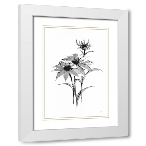 Wash Echinacea I White Modern Wood Framed Art Print with Double Matting by Paschke, Chris