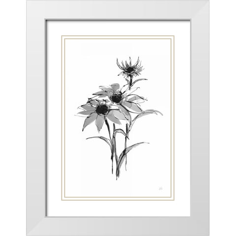 Wash Echinacea I White Modern Wood Framed Art Print with Double Matting by Paschke, Chris