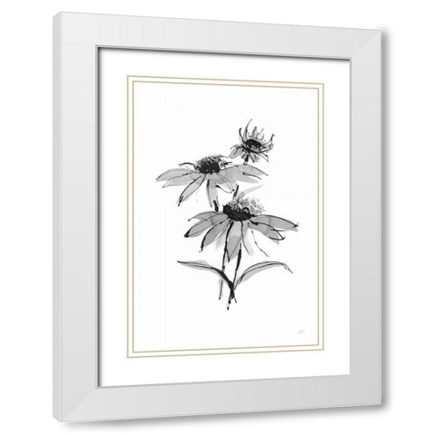 Wash Echinacea II White Modern Wood Framed Art Print with Double Matting by Paschke, Chris