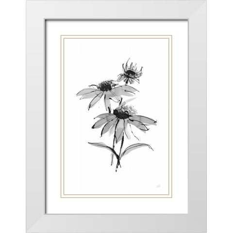 Wash Echinacea II White Modern Wood Framed Art Print with Double Matting by Paschke, Chris
