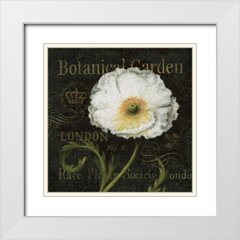 Botanical Garden II White Modern Wood Framed Art Print with Double Matting by Brissonnet, Daphne