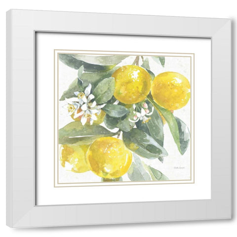 Citrus Charm Lemons I White Modern Wood Framed Art Print with Double Matting by Grove, Beth