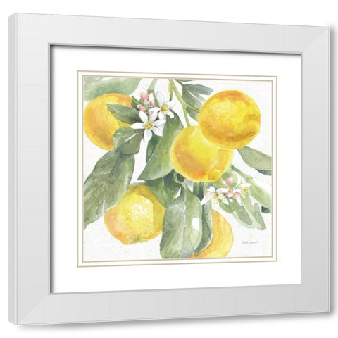 Citrus Charm Lemons II White Modern Wood Framed Art Print with Double Matting by Grove, Beth