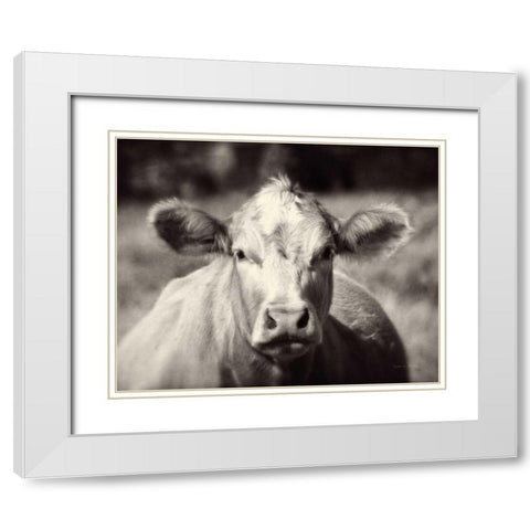 Pasture Cow White Modern Wood Framed Art Print with Double Matting by Van Swearingen, Debra
