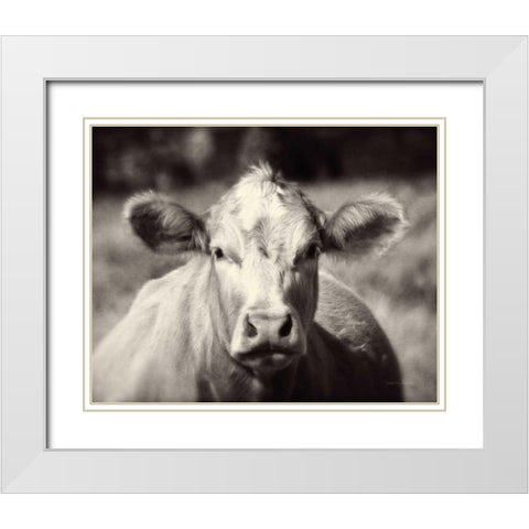 Pasture Cow White Modern Wood Framed Art Print with Double Matting by Van Swearingen, Debra