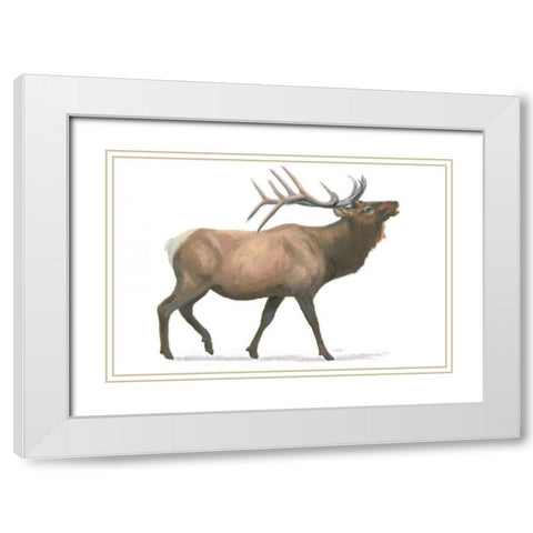 Northern Wild III White Modern Wood Framed Art Print with Double Matting by Wiens, James