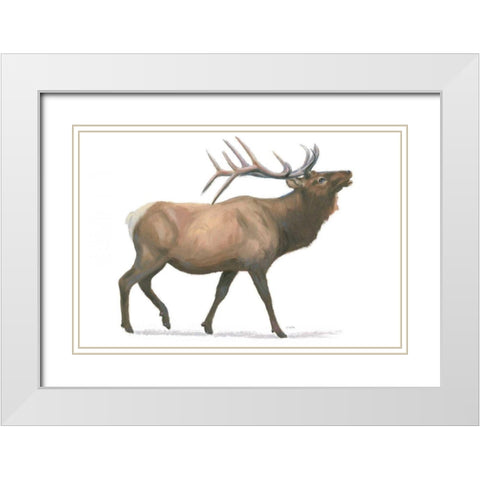 Northern Wild III White Modern Wood Framed Art Print with Double Matting by Wiens, James