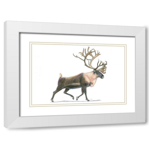 Northern Wild IV White Modern Wood Framed Art Print with Double Matting by Wiens, James