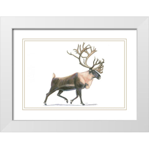 Northern Wild IV White Modern Wood Framed Art Print with Double Matting by Wiens, James