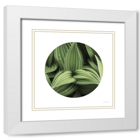 Corn Lily Circle I White Modern Wood Framed Art Print with Double Matting by Majchrowicz, Alan