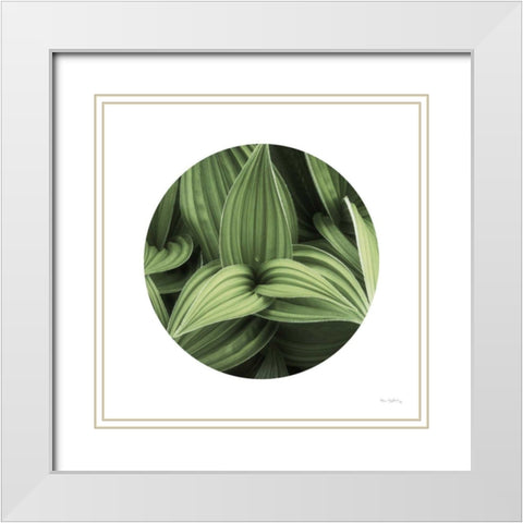 Corn Lily Circle I White Modern Wood Framed Art Print with Double Matting by Majchrowicz, Alan