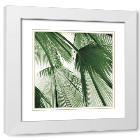 Leaf Abstract III Green White Modern Wood Framed Art Print with Double Matting by Goldstein, Ed