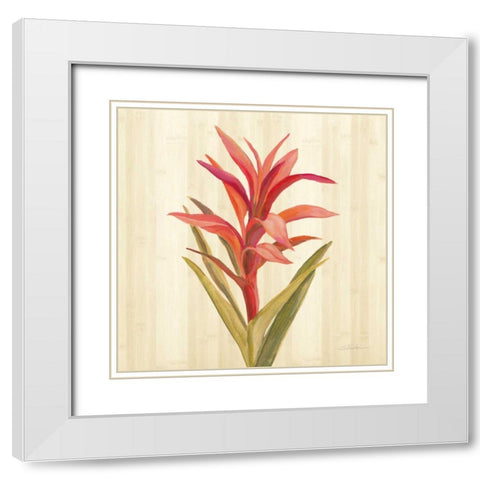 Tropical Garden III White Modern Wood Framed Art Print with Double Matting by Vassileva, Silvia