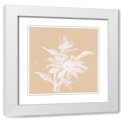 Echinacea II White Modern Wood Framed Art Print with Double Matting by Paschke, Chris