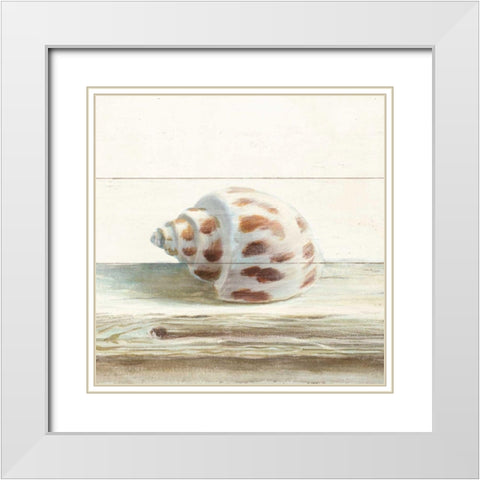 Driftwood Shell II White Modern Wood Framed Art Print with Double Matting by Nai, Danhui