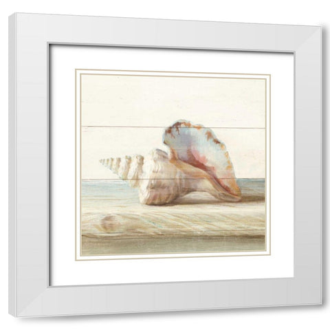 Driftwood Shell IV White Modern Wood Framed Art Print with Double Matting by Nai, Danhui