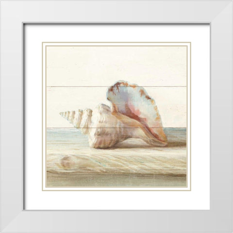 Driftwood Shell IV White Modern Wood Framed Art Print with Double Matting by Nai, Danhui