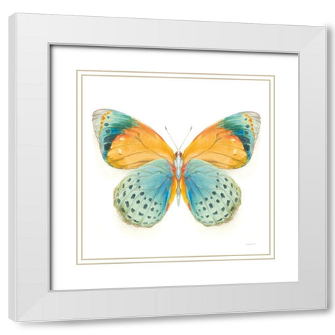 Fragile Wings Butterfly I White Modern Wood Framed Art Print with Double Matting by Nai, Danhui