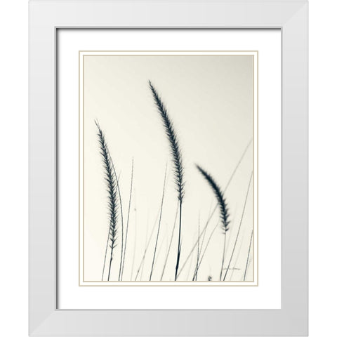 Field Grasses IV White Modern Wood Framed Art Print with Double Matting by Van Swearingen, Debra