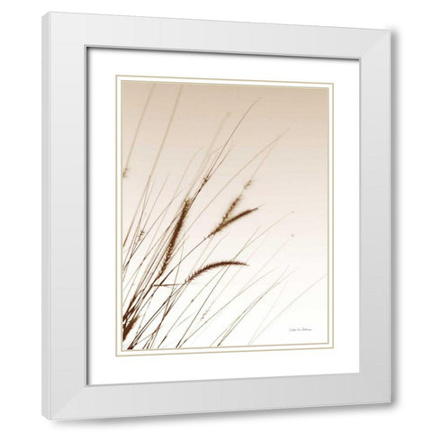 Field Grasses I Sepia White Modern Wood Framed Art Print with Double Matting by Van Swearingen, Debra