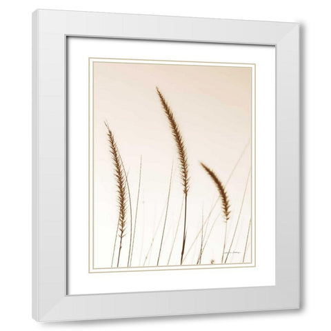 Field Grasses IV Sepia White Modern Wood Framed Art Print with Double Matting by Van Swearingen, Debra