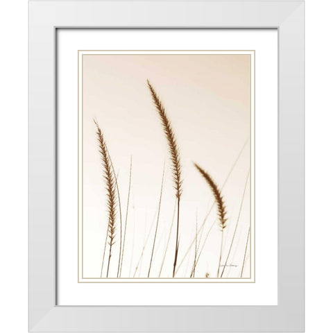 Field Grasses IV Sepia White Modern Wood Framed Art Print with Double Matting by Van Swearingen, Debra