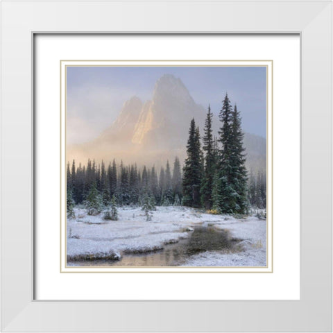 Bell Mountain North Cascades II White Modern Wood Framed Art Print with Double Matting by Majchrowicz, Alan
