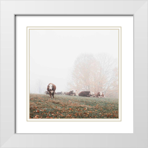 Misty Pasture White Modern Wood Framed Art Print with Double Matting by Marshall, Laura