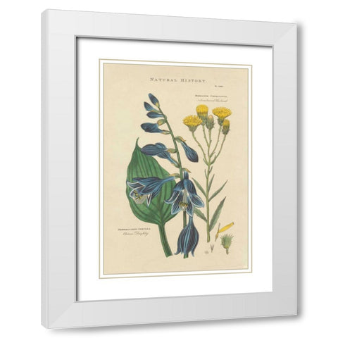 Botanical Print I White Modern Wood Framed Art Print with Double Matting by Wild Apple Portfolio