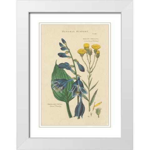 Botanical Print I White Modern Wood Framed Art Print with Double Matting by Wild Apple Portfolio