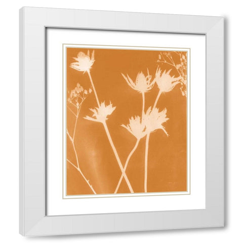 Enchanted Fall Cyanotype I White Modern Wood Framed Art Print with Double Matting by Green, Nancy