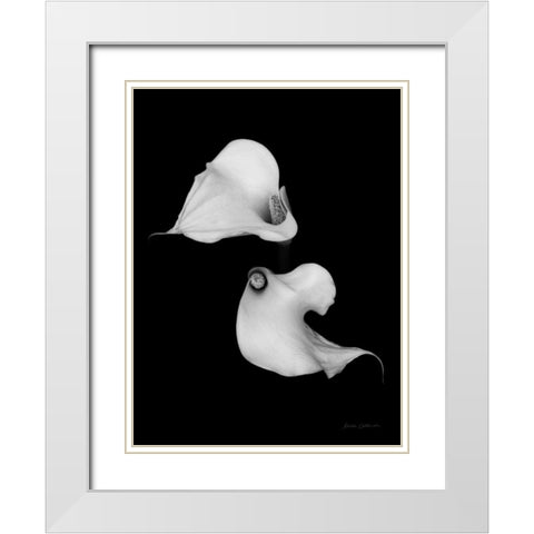 Elegant Calla II White Modern Wood Framed Art Print with Double Matting by Catterall, Elise