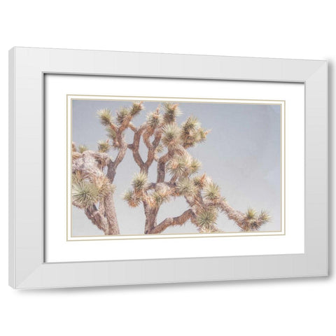 Desert Floral I White Modern Wood Framed Art Print with Double Matting by Urquhart, Elizabeth