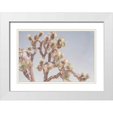 Desert Floral I White Modern Wood Framed Art Print with Double Matting by Urquhart, Elizabeth
