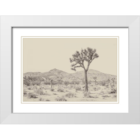 Joshua Tree I Neutral White Modern Wood Framed Art Print with Double Matting by Urquhart, Elizabeth