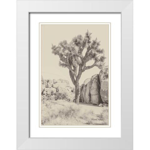 Joshua Tree IV Neutral White Modern Wood Framed Art Print with Double Matting by Urquhart, Elizabeth