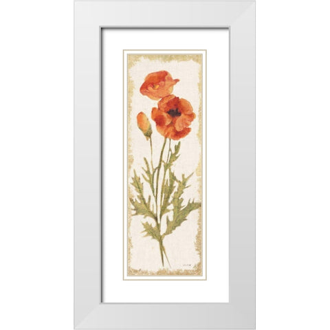 Poppy Panel Light White Modern Wood Framed Art Print with Double Matting by Blum, Cheri