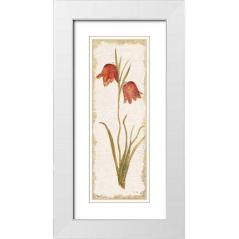 Red Tulip Panel Light White Modern Wood Framed Art Print with Double Matting by Blum, Cheri