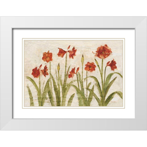 Row of Red Amaryllis Light White Modern Wood Framed Art Print with Double Matting by Blum, Cheri
