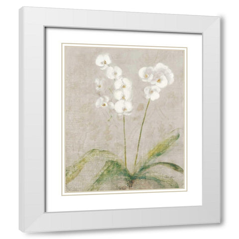 Orchid Light White Modern Wood Framed Art Print with Double Matting by Blum, Cheri