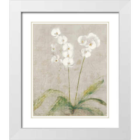 Orchid Light White Modern Wood Framed Art Print with Double Matting by Blum, Cheri