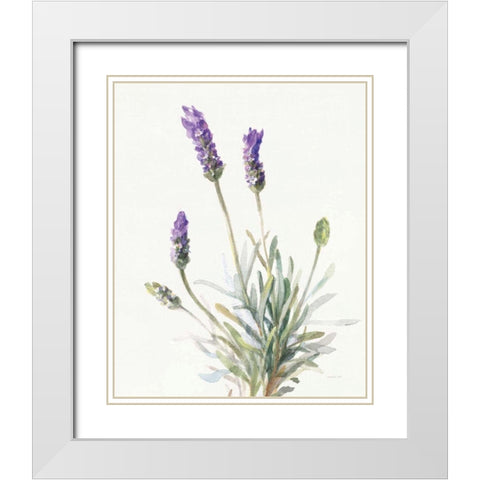 Floursack Lavender III on Linen White Modern Wood Framed Art Print with Double Matting by Nai, Danhui